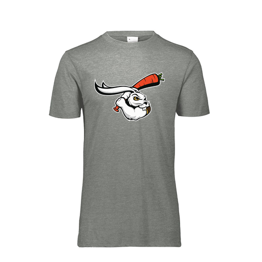 [FTSCUBGY-YS-LOGO3] Decker Youth Tri-Blend T-Shirt - Short Sleeve (Youth S, Gray, Logo 3)