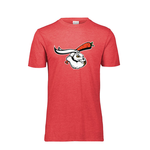 [FTSCUBRD-YS-LOGO3] Decker Youth Tri-Blend T-Shirt - Short Sleeve (Youth S, Red, Logo 3)